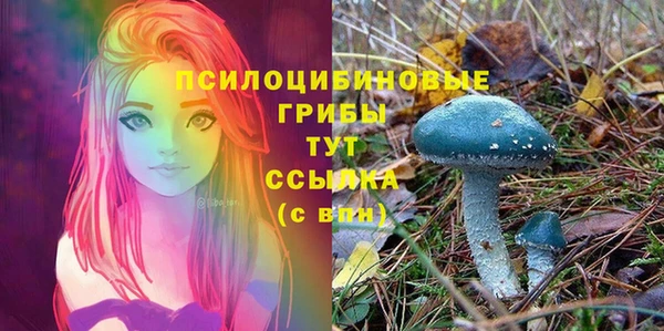 гидра Абаза