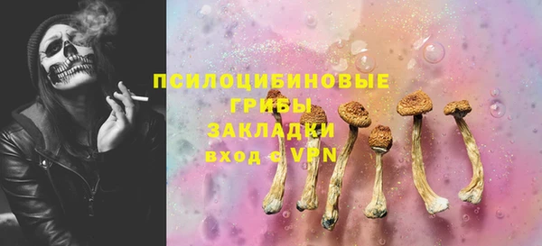 прущий лед Алексин