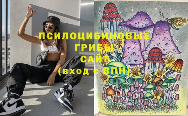 прущий лед Алексин