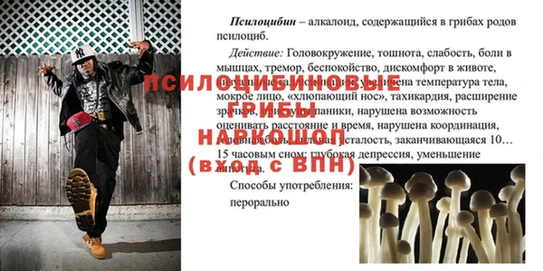 гидра Абаза