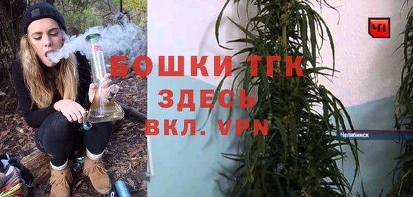 ПСИЛОЦИБИНОВЫЕ ГРИБЫ Рославль