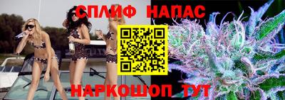 твердый Гатчина