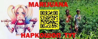 твердый Гатчина