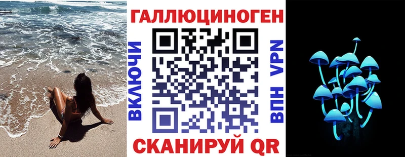 Псилоцибиновые грибы Cubensis  Знаменск 