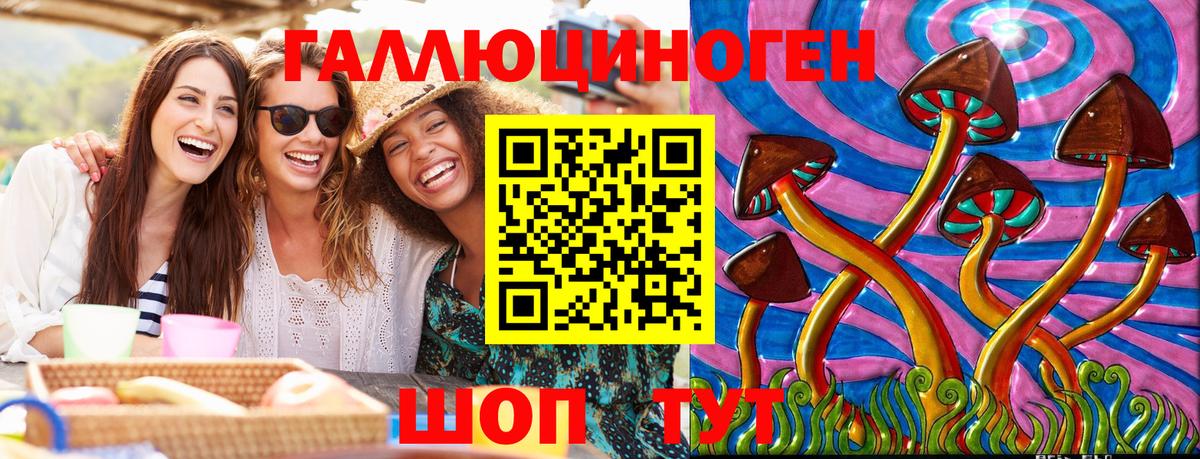 Знаменск  Псилоцибиновые грибы GOLDEN TEACHER  продажа наркотиков  Вход с VPN 